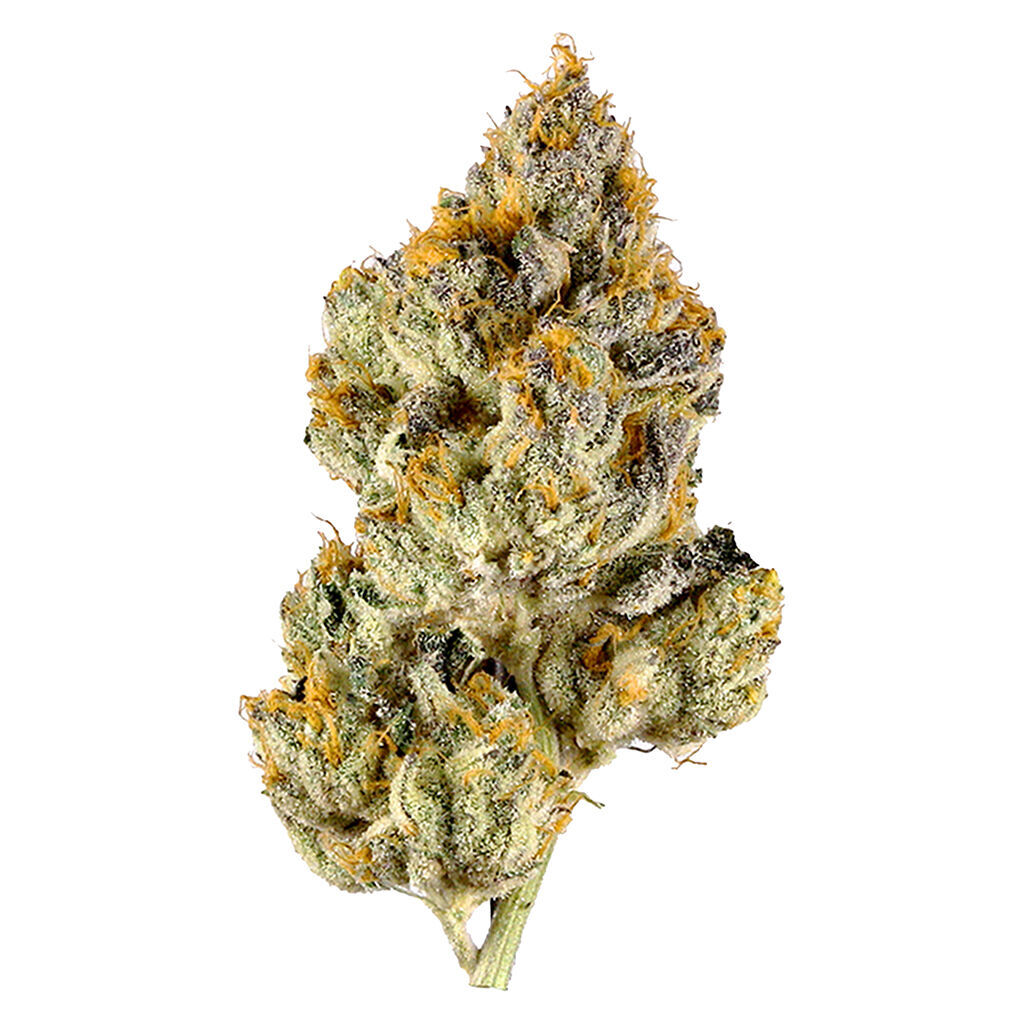 Spacewalker OG 2
