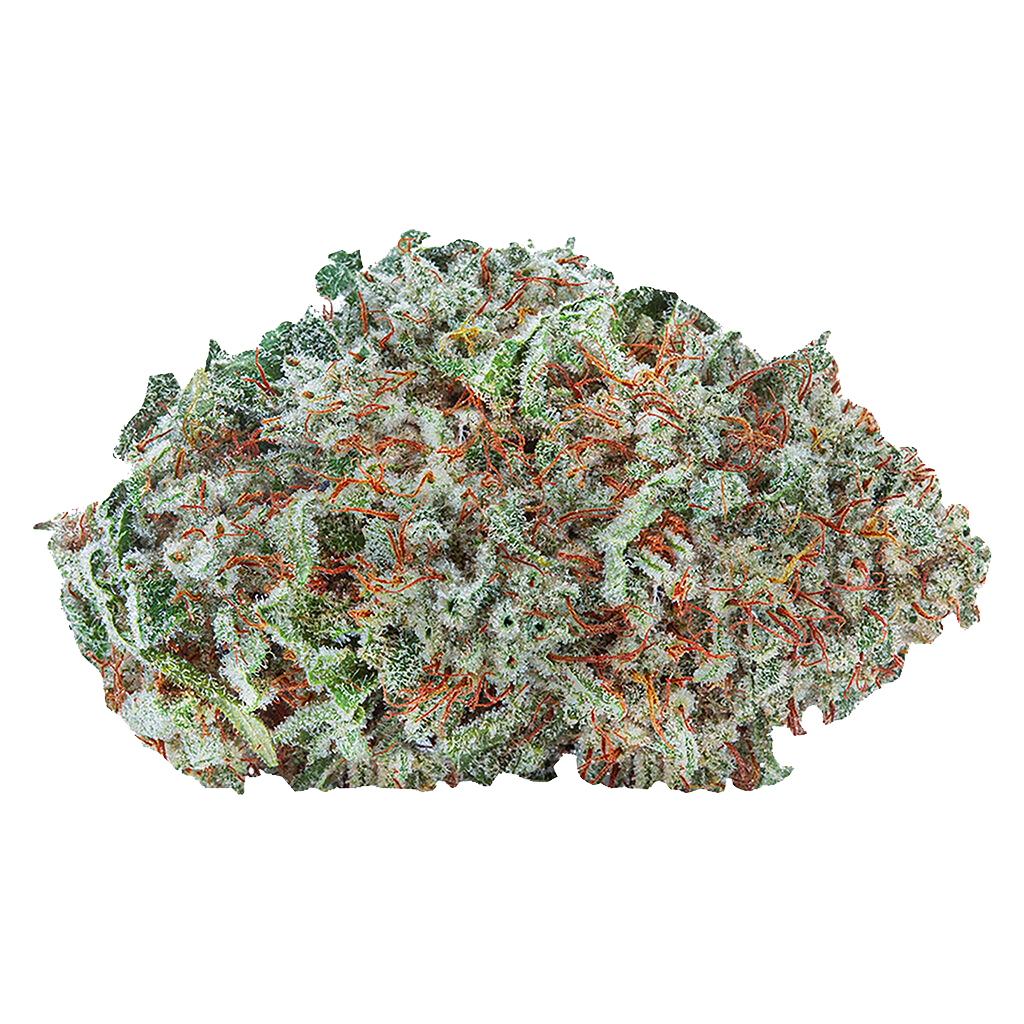 Organic - Amsterdam Sativa