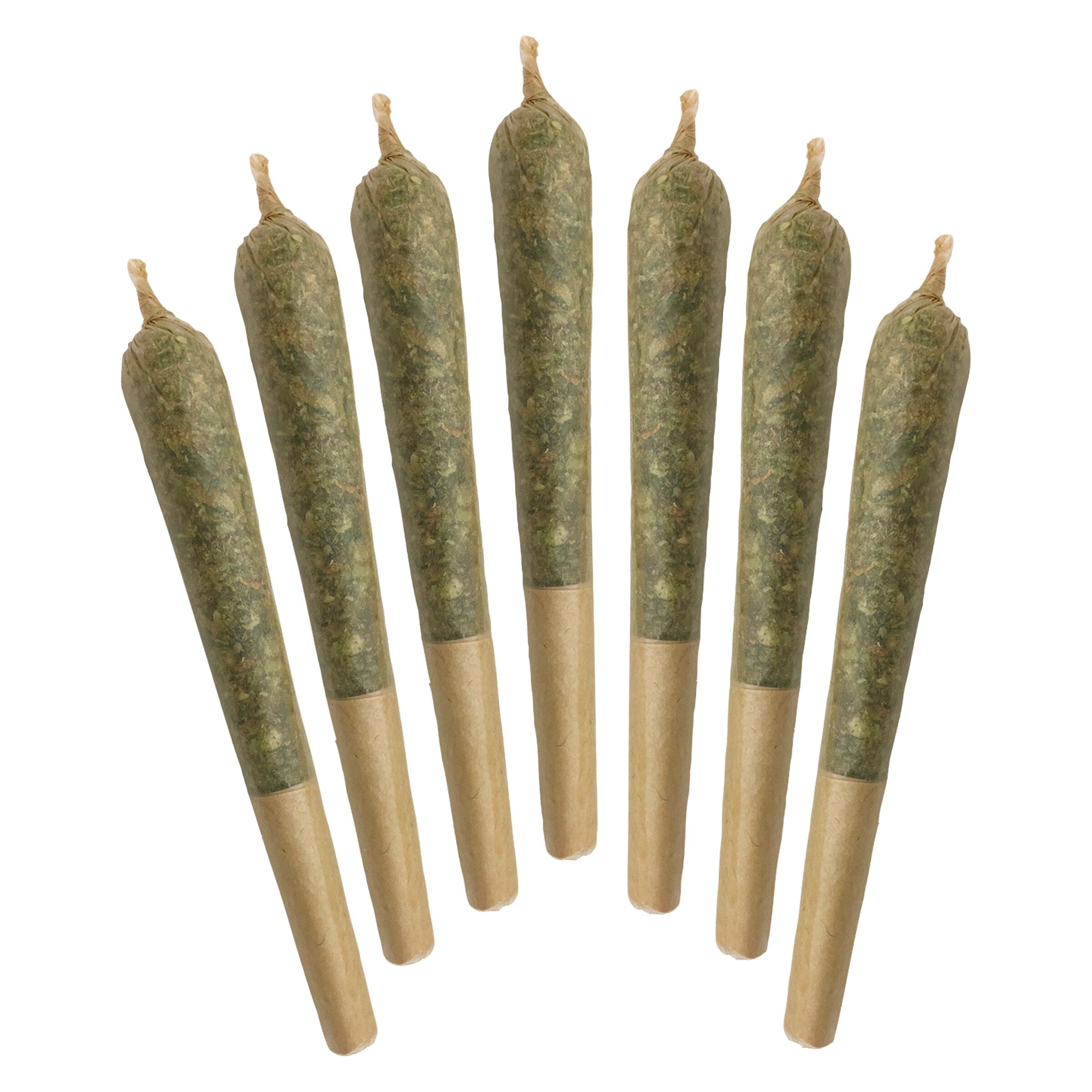 Deep Space Odyssey Pre-Roll