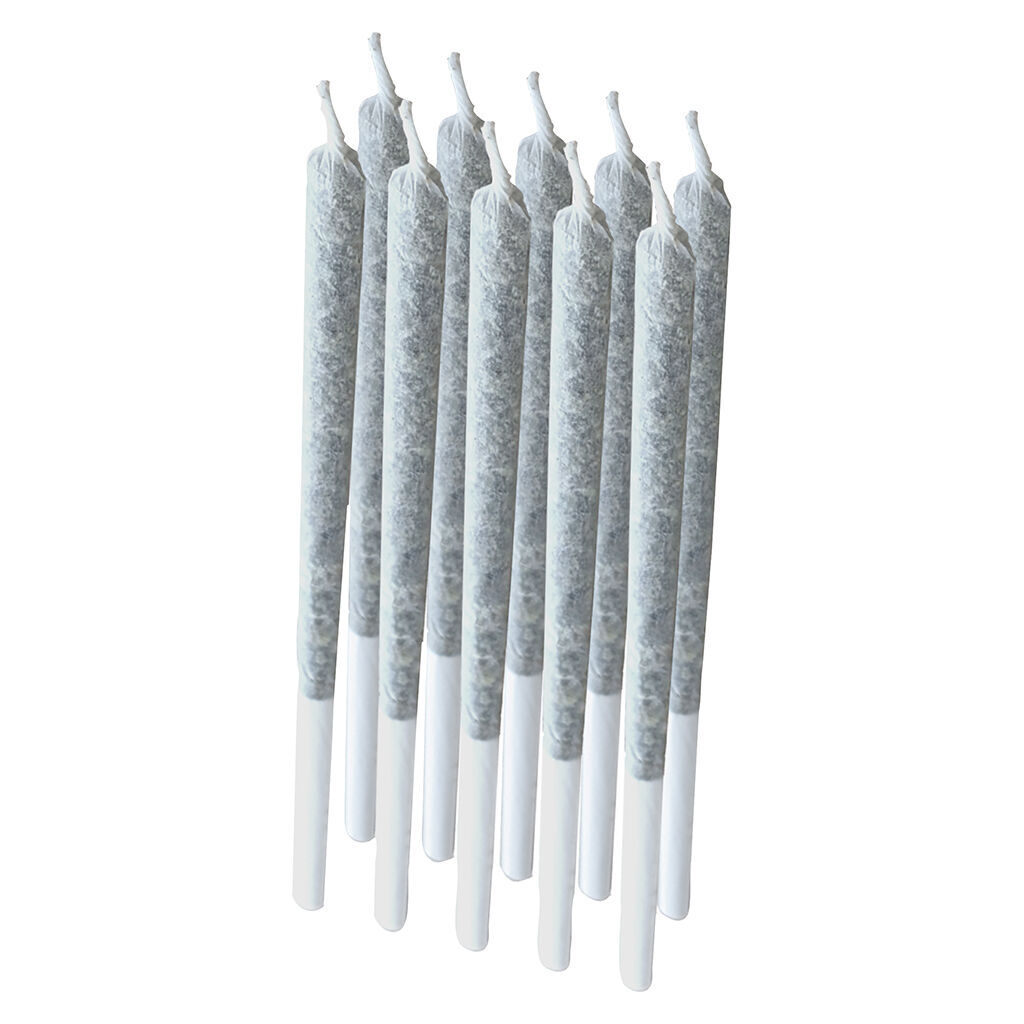 Rogue Pre-roll