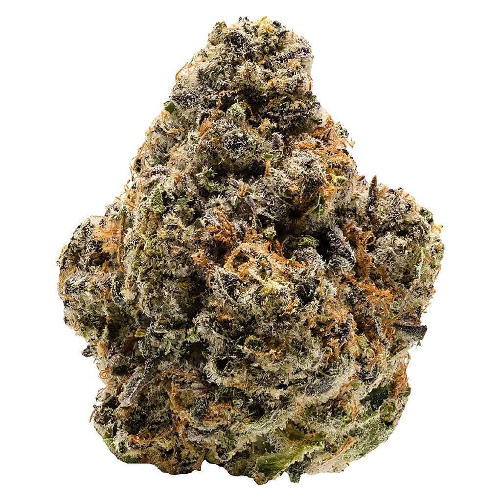 Notorious THC 2