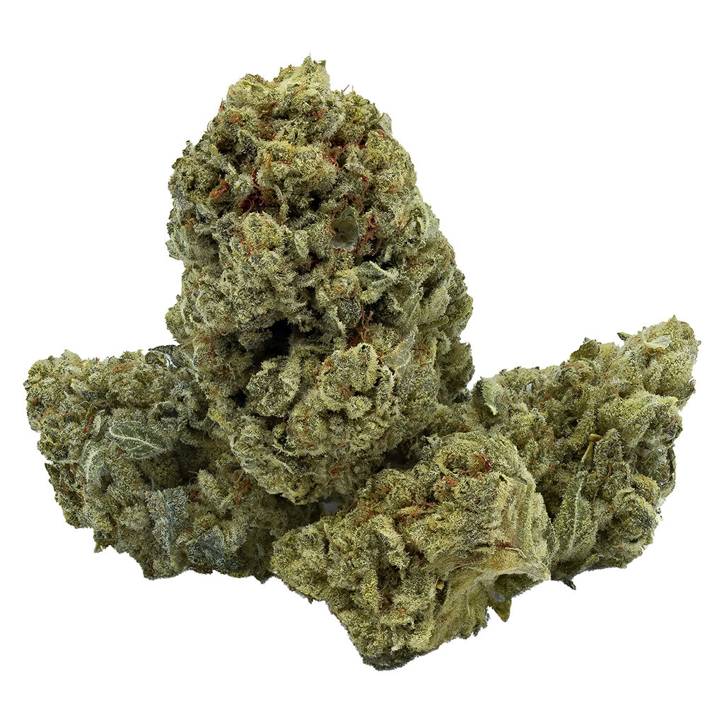 Blue Zello - Hybrid