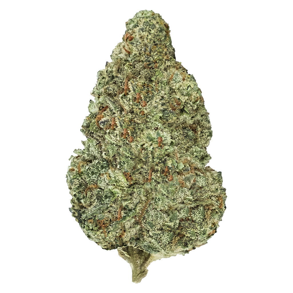 Chemzilla 2