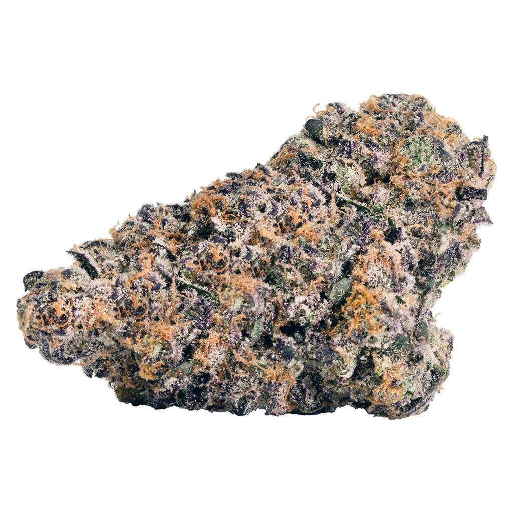 Rainbow P 2