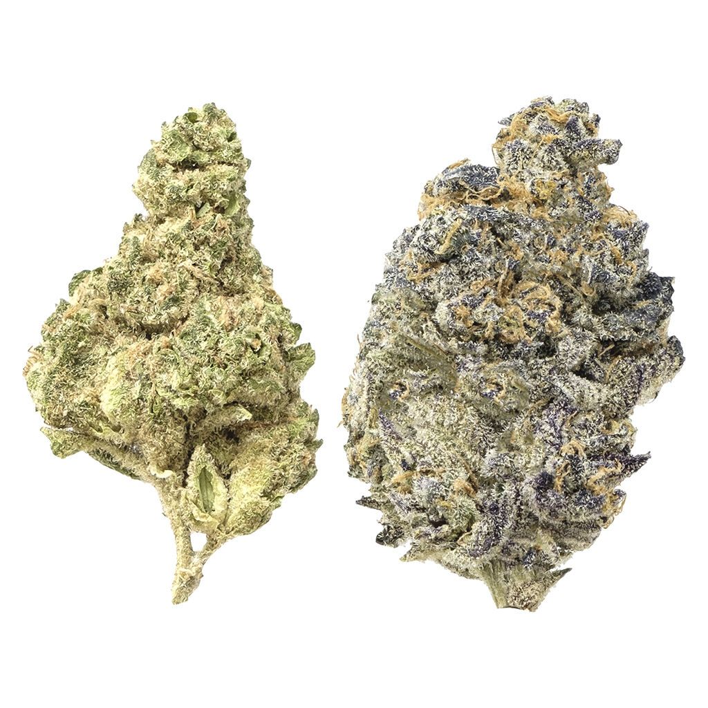 Candi Gas Mixed Pack - Froot Stripez & Gas Tingz