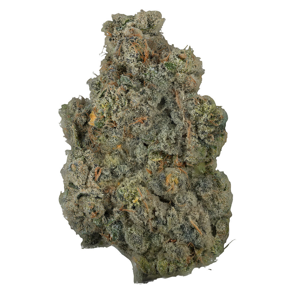 Platinum Lemon Cherry Gelato