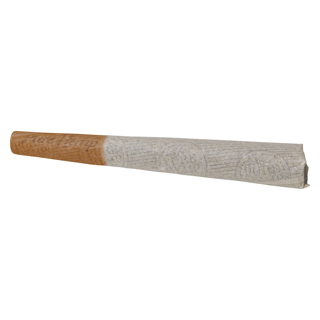 CBG Infused OG Haze Pre-Roll