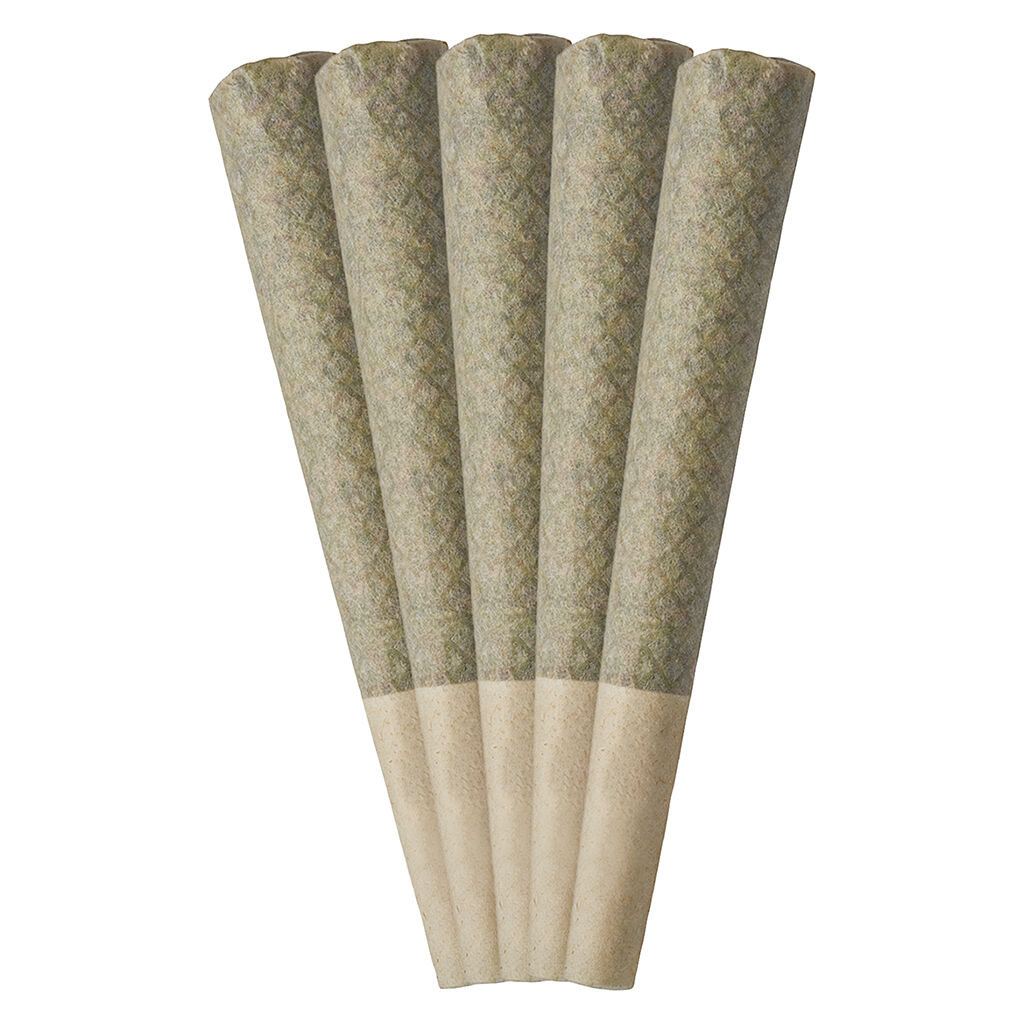 Neon Sunshine - Pre-Rolls