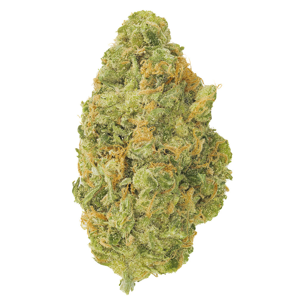 Neon Sour 2