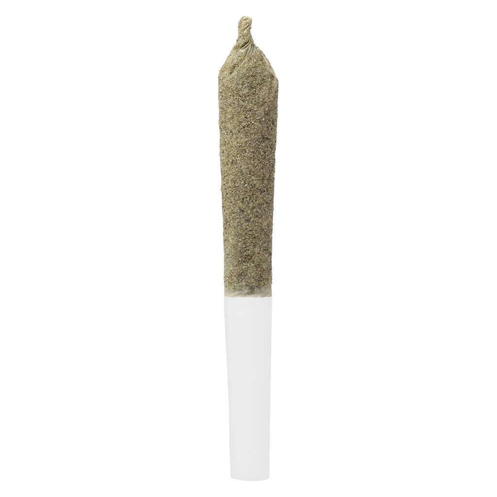 Infused Cherry Temple Pre-Roll