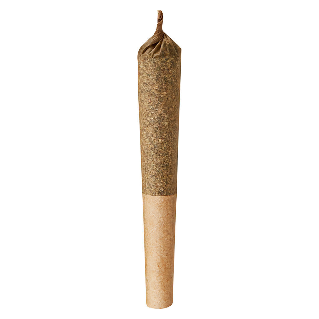Junior J Pre-roll