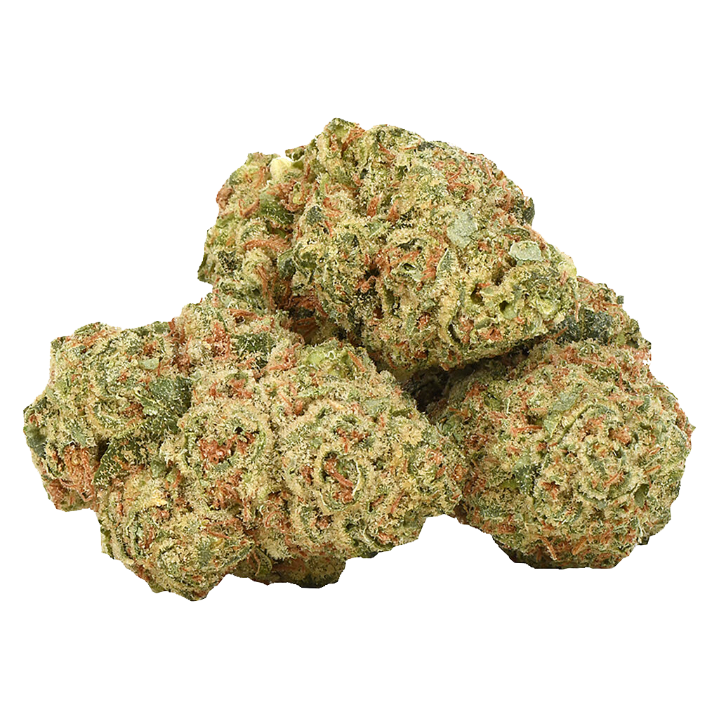 Organic - Rotterdam Indica