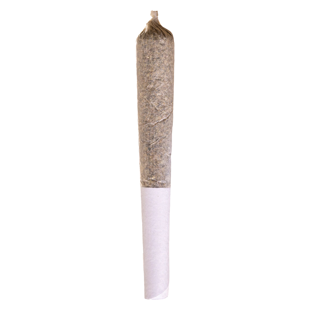 Mango Dream Pre-Roll