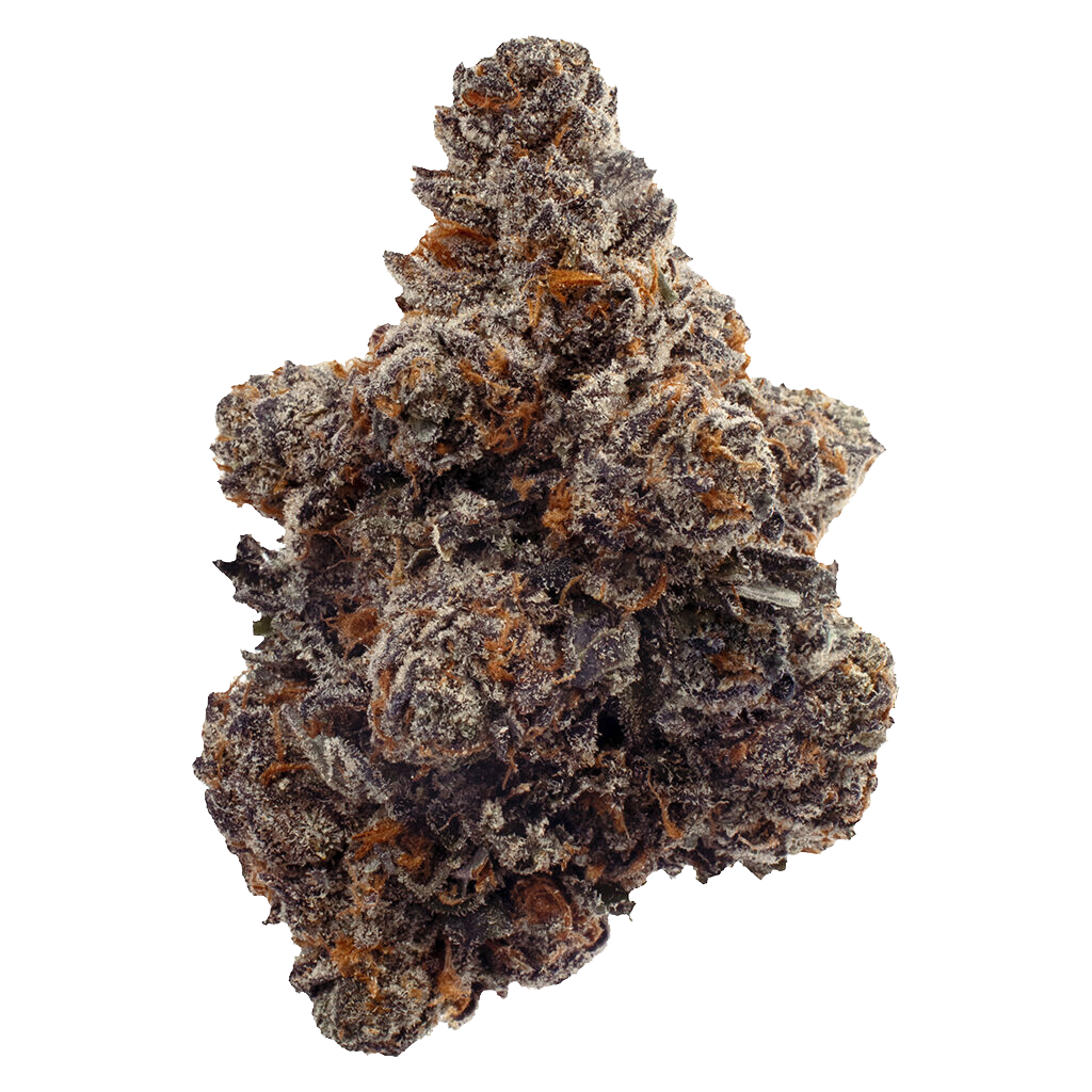 Gastro Pop - Indica