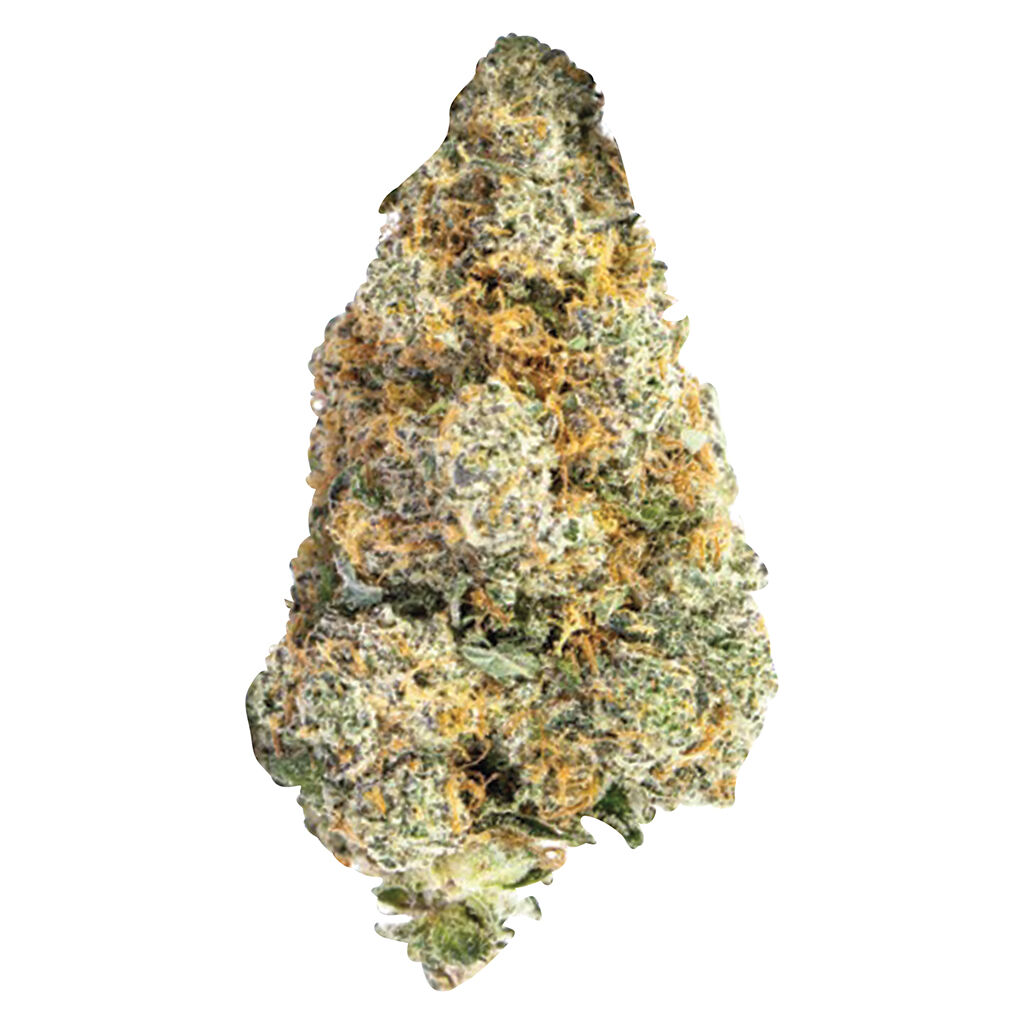 Sugar Cookies