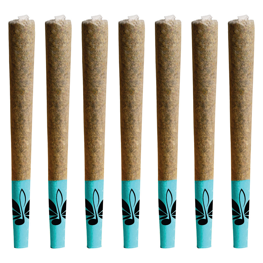 The Blues Pre-Roll 2