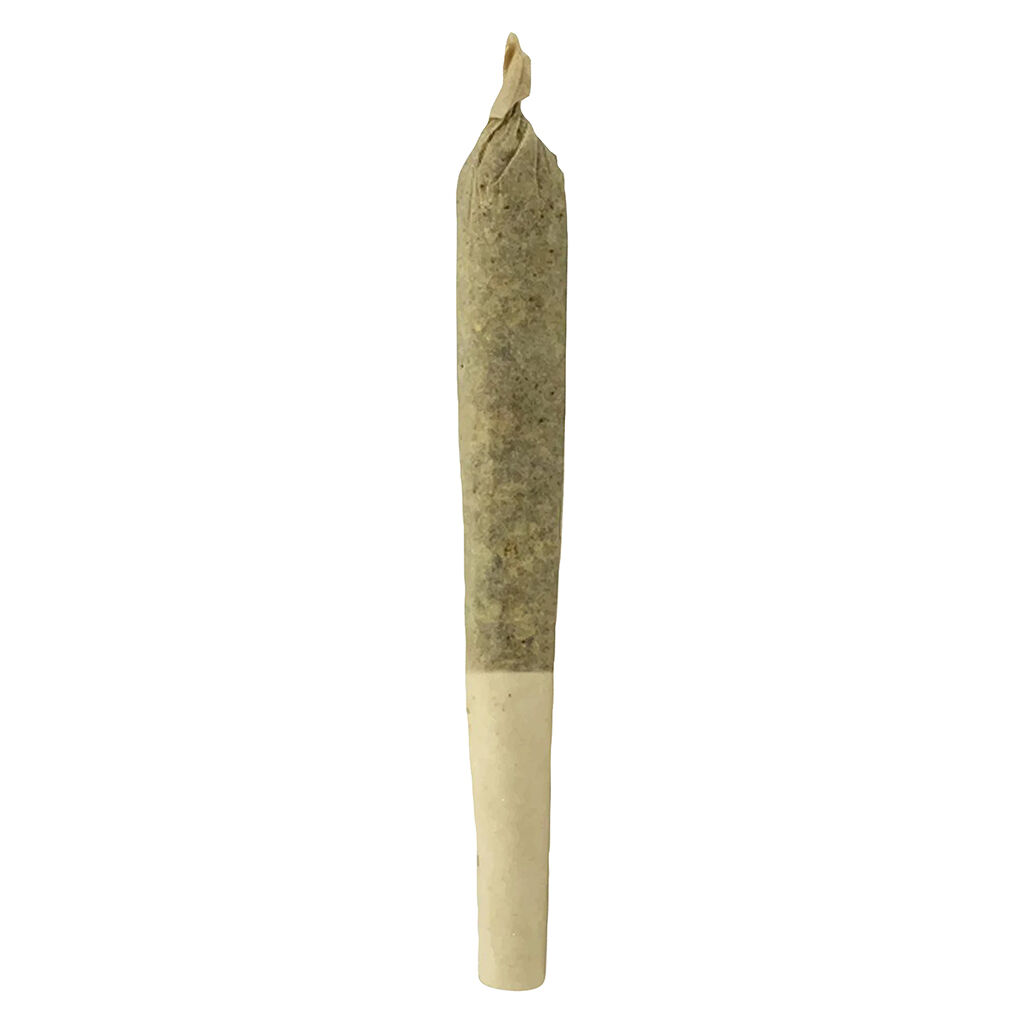 Daaku Infused Pre-roll