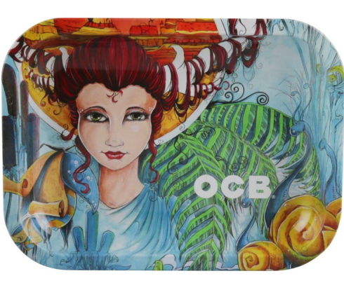 Metal Rolling Tray 7