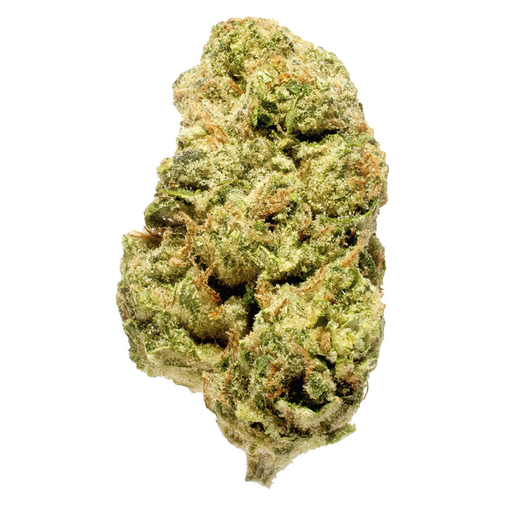 Blanh Indica 2