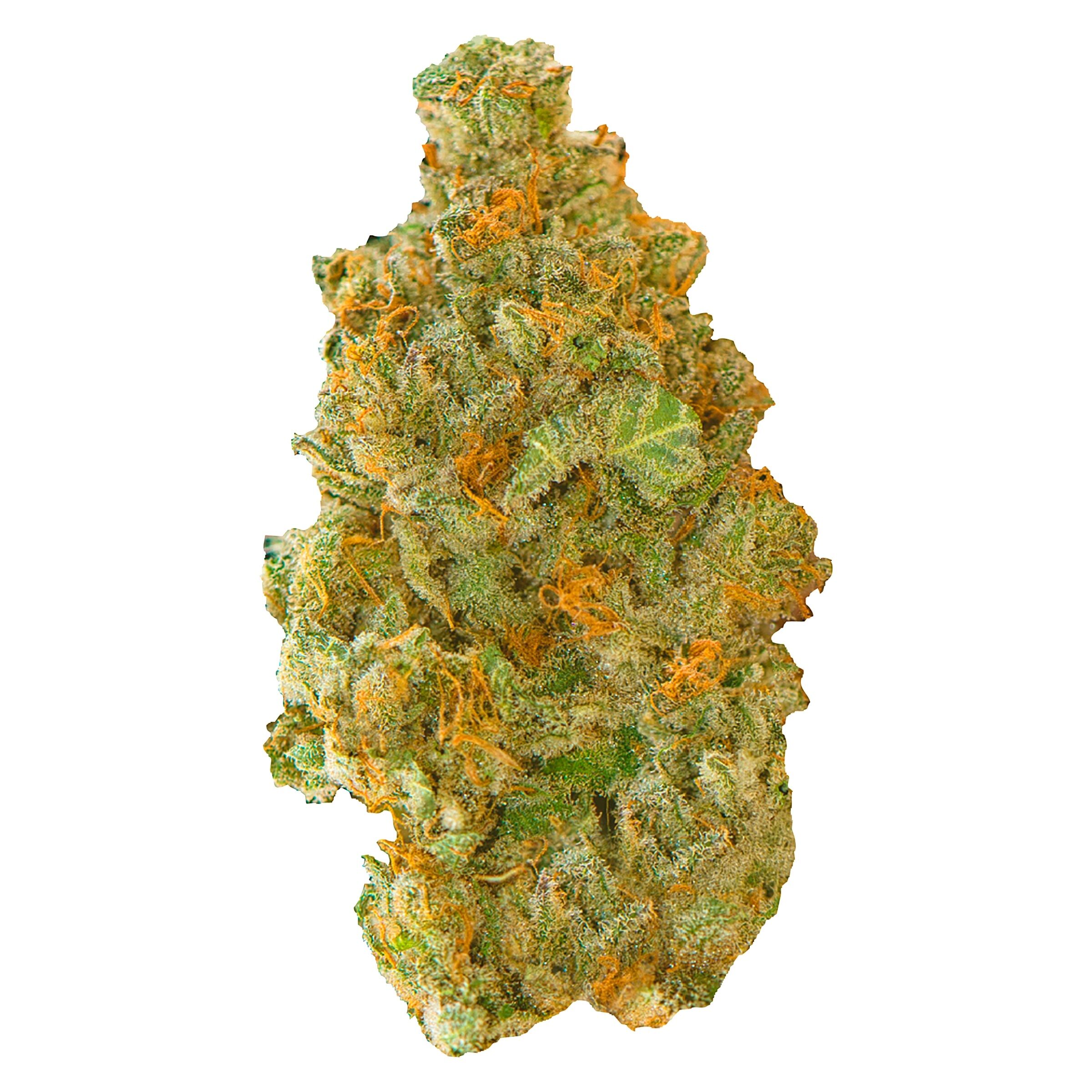 Golden Tangie