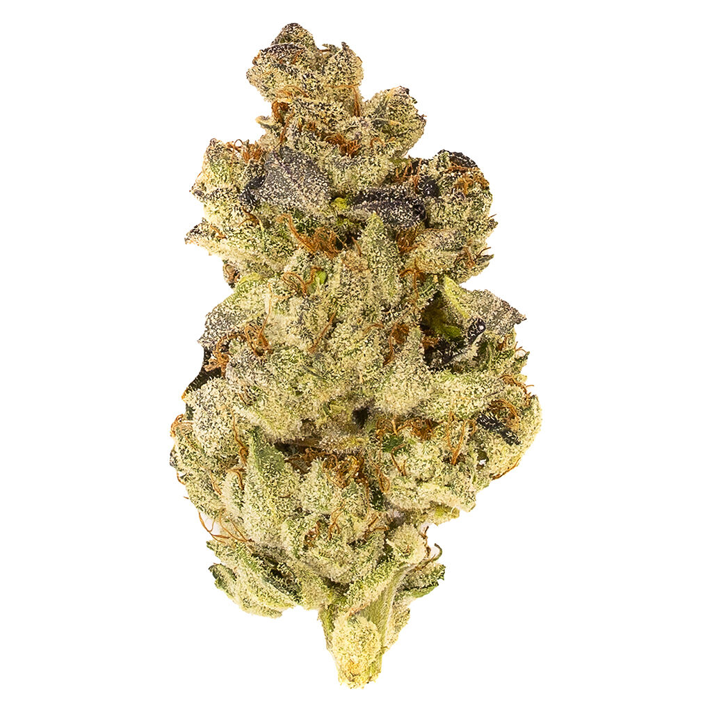 Mosa Orange Punch - Indica