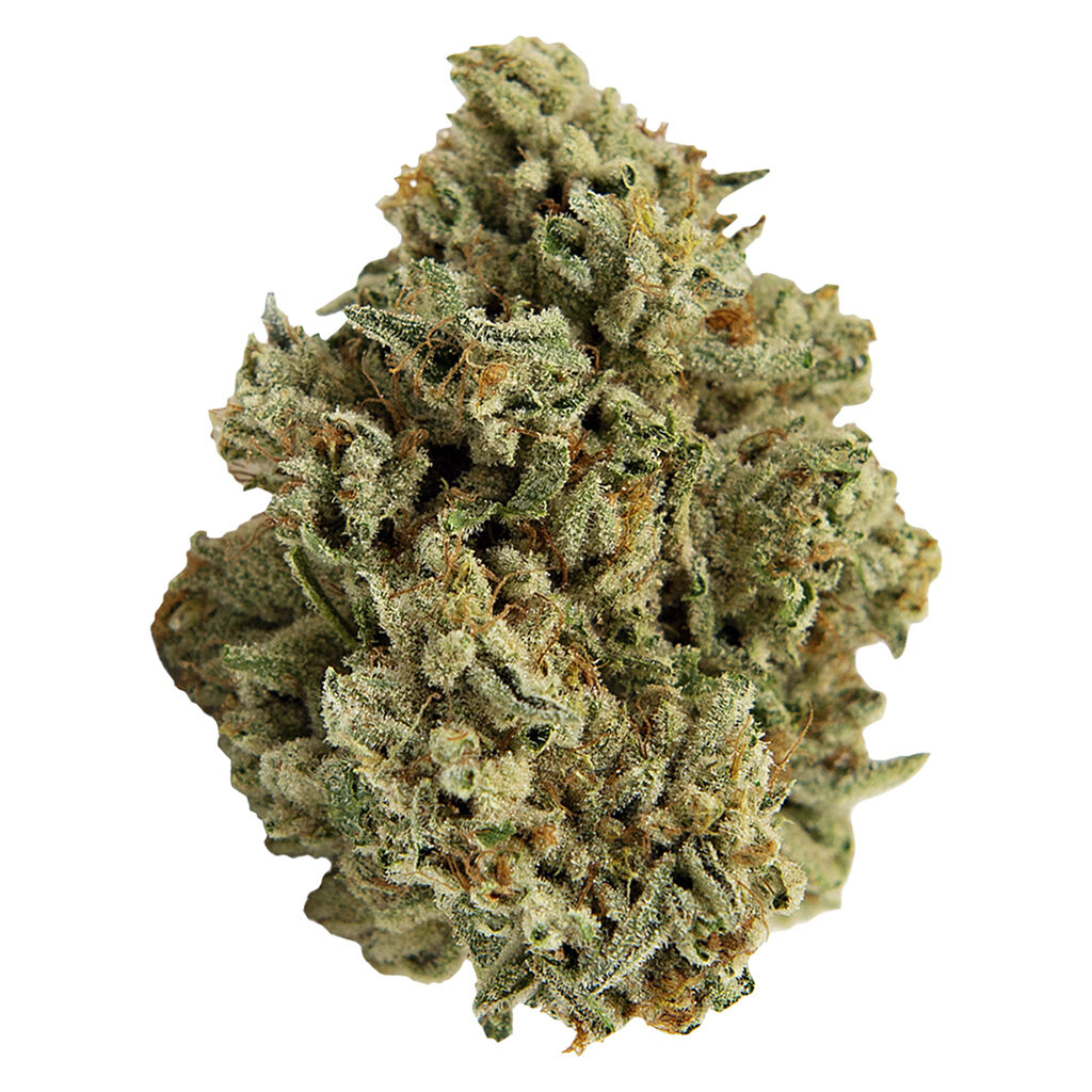 Mango Haze 2