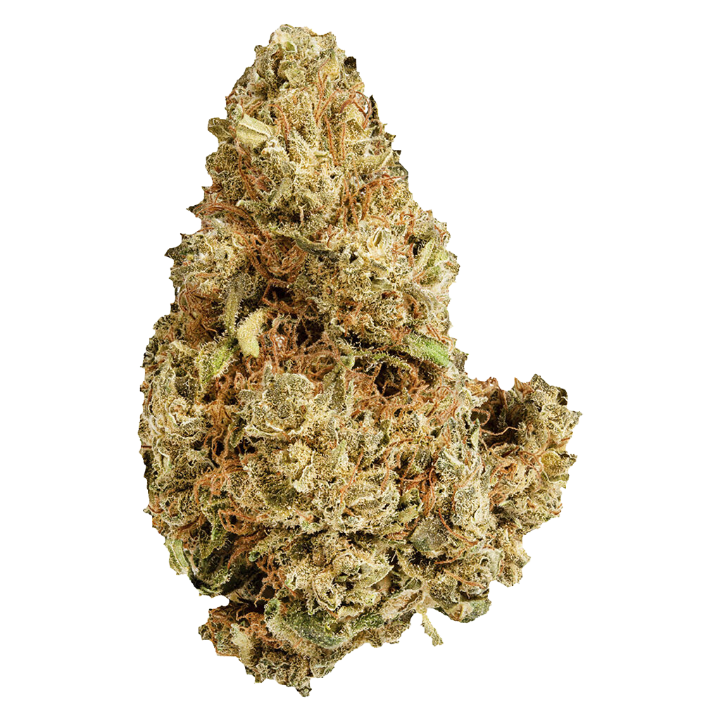 Purple Afghani