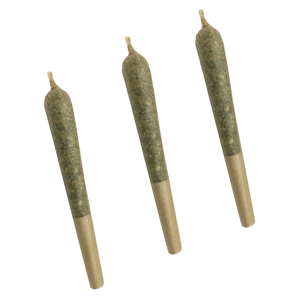 Time Wreck Pre-Roll