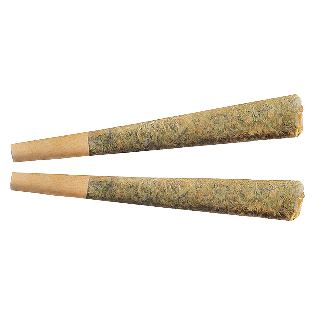Night Rider Indica Pre-Roll