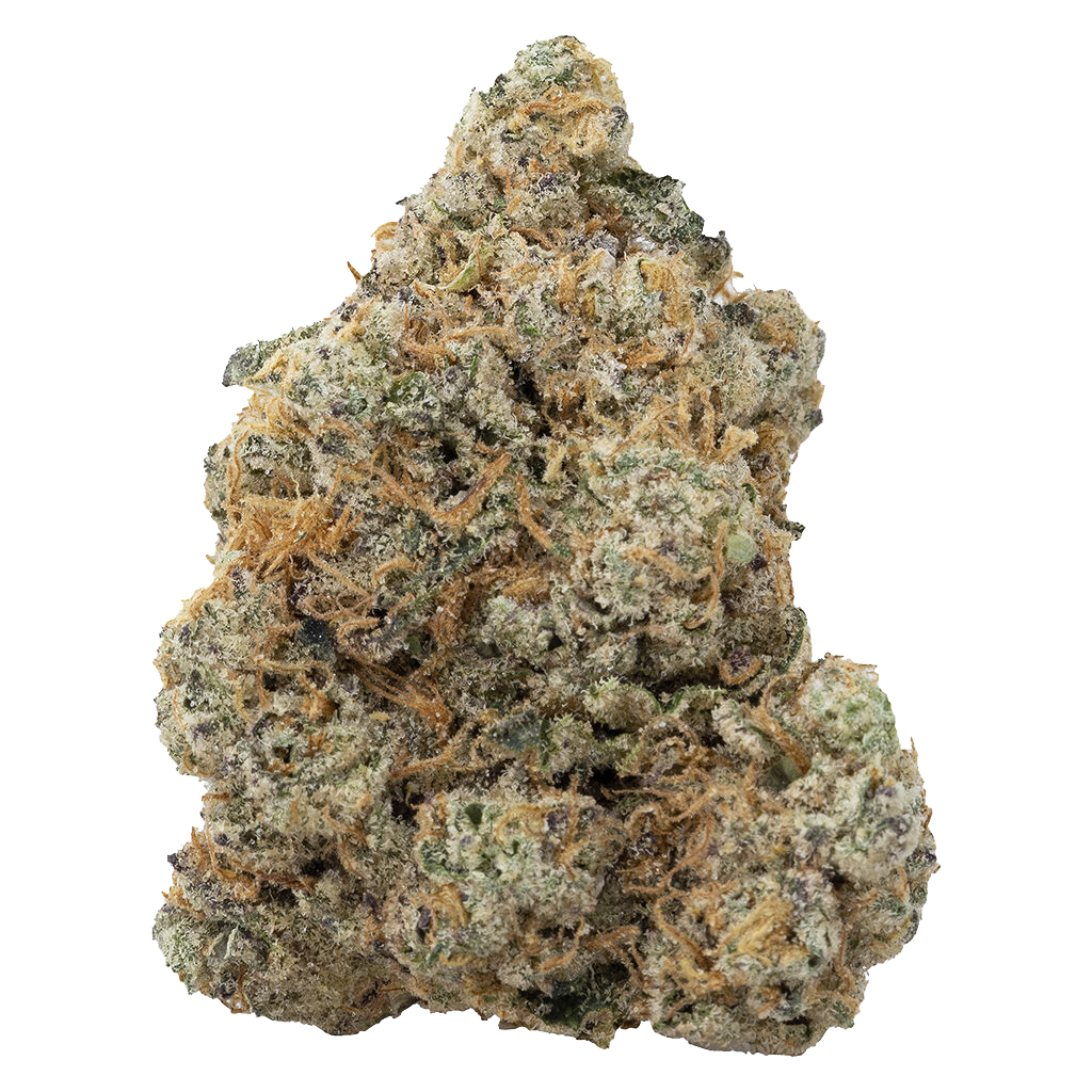 Exotic Gas 4