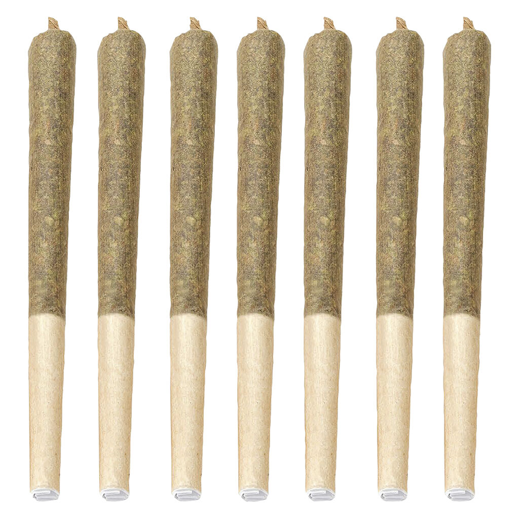 Dante'z Inferno Pre-Roll