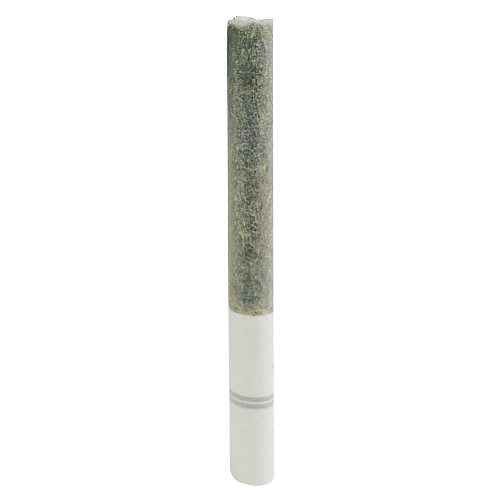 Blasters Ice Tea Pre-Roll