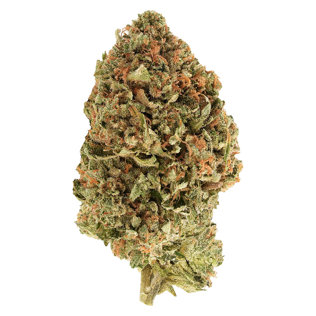 BC Organic Tea Time #7 2