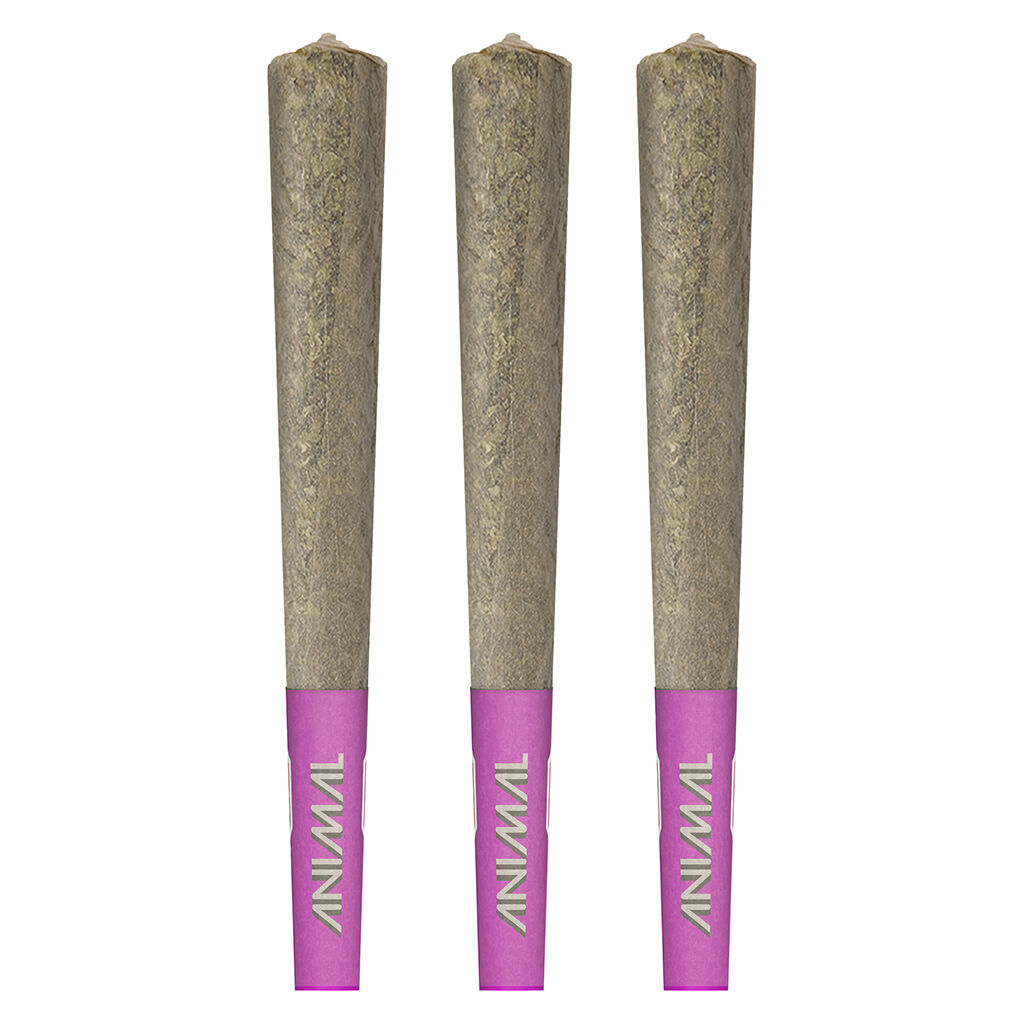 High Potency Infused Pre-Roll 50+