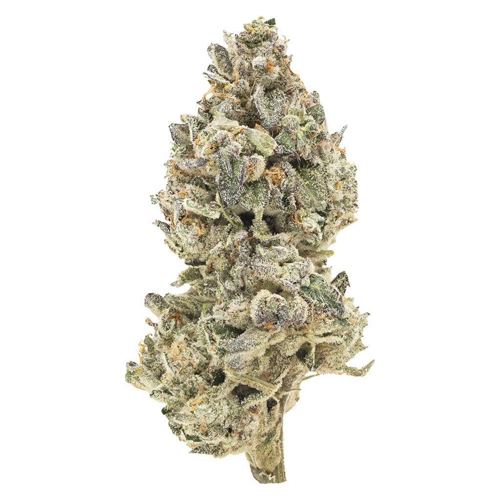 BC Organic Pineapple Sour 2