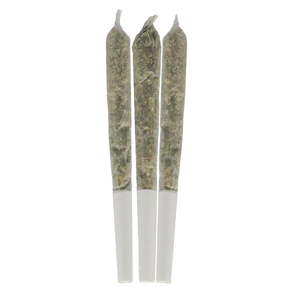 Blueberry Seagal Live Resin Infused Pre-Roll
