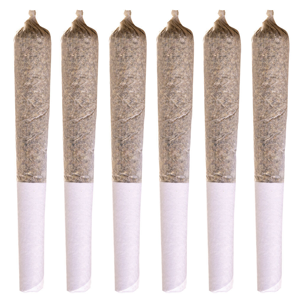 Coast To Coast Series Pre-Roll