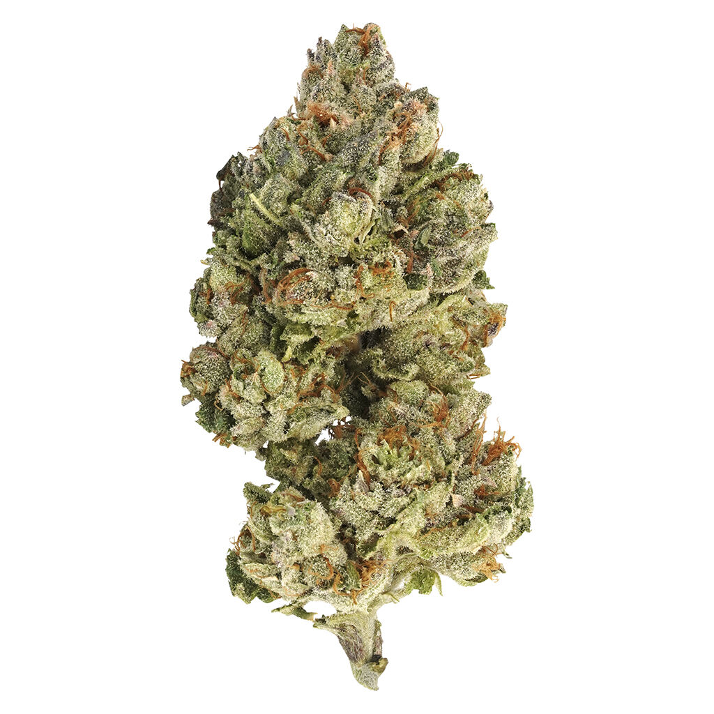 Sativa