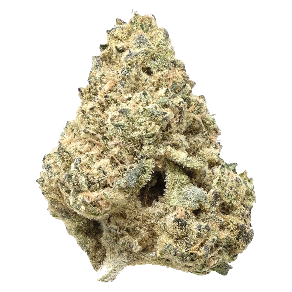 Indica