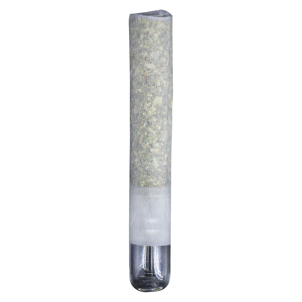 The Collective Infused Pre-Roll