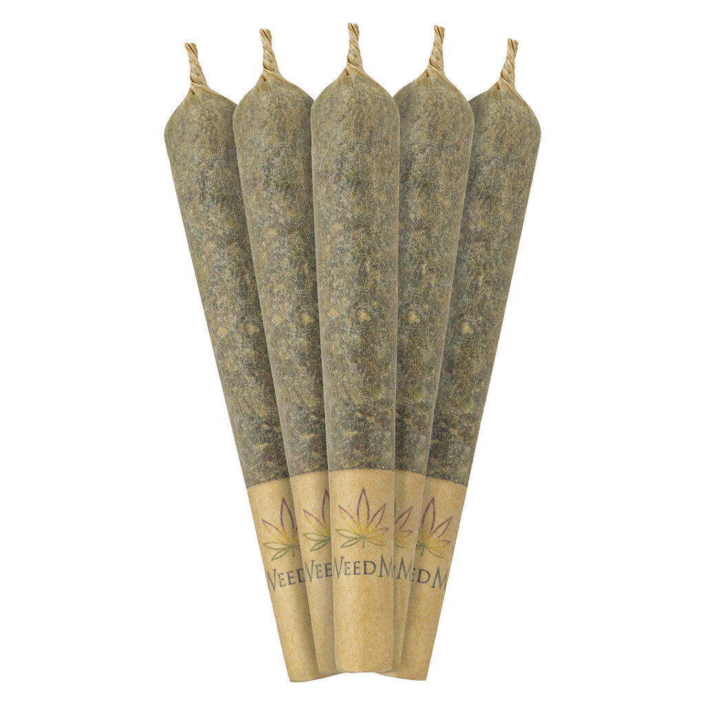 Blue Iguana Pre-Roll