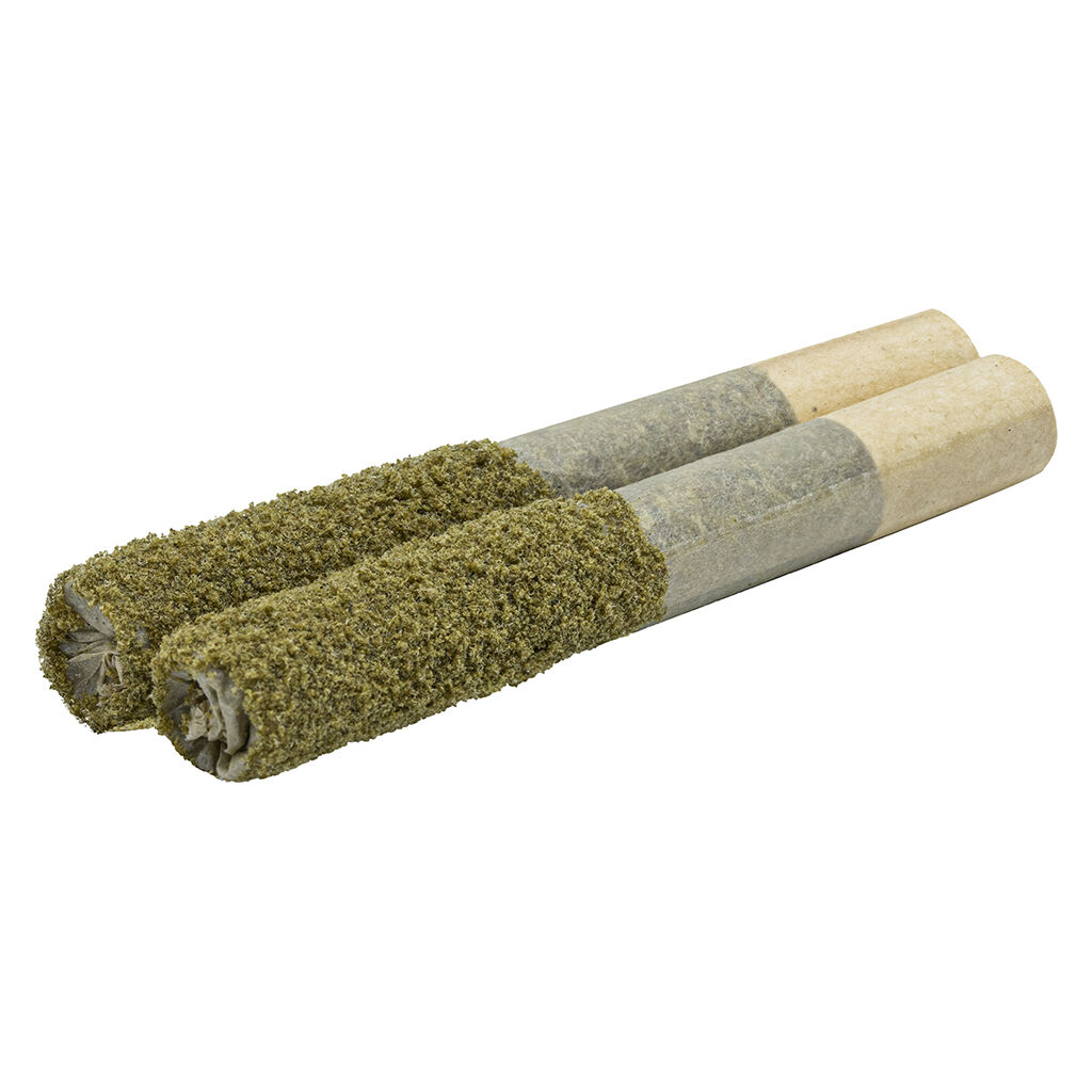 Terpgasm Dusted Dank 1s Infused Pre-Roll
