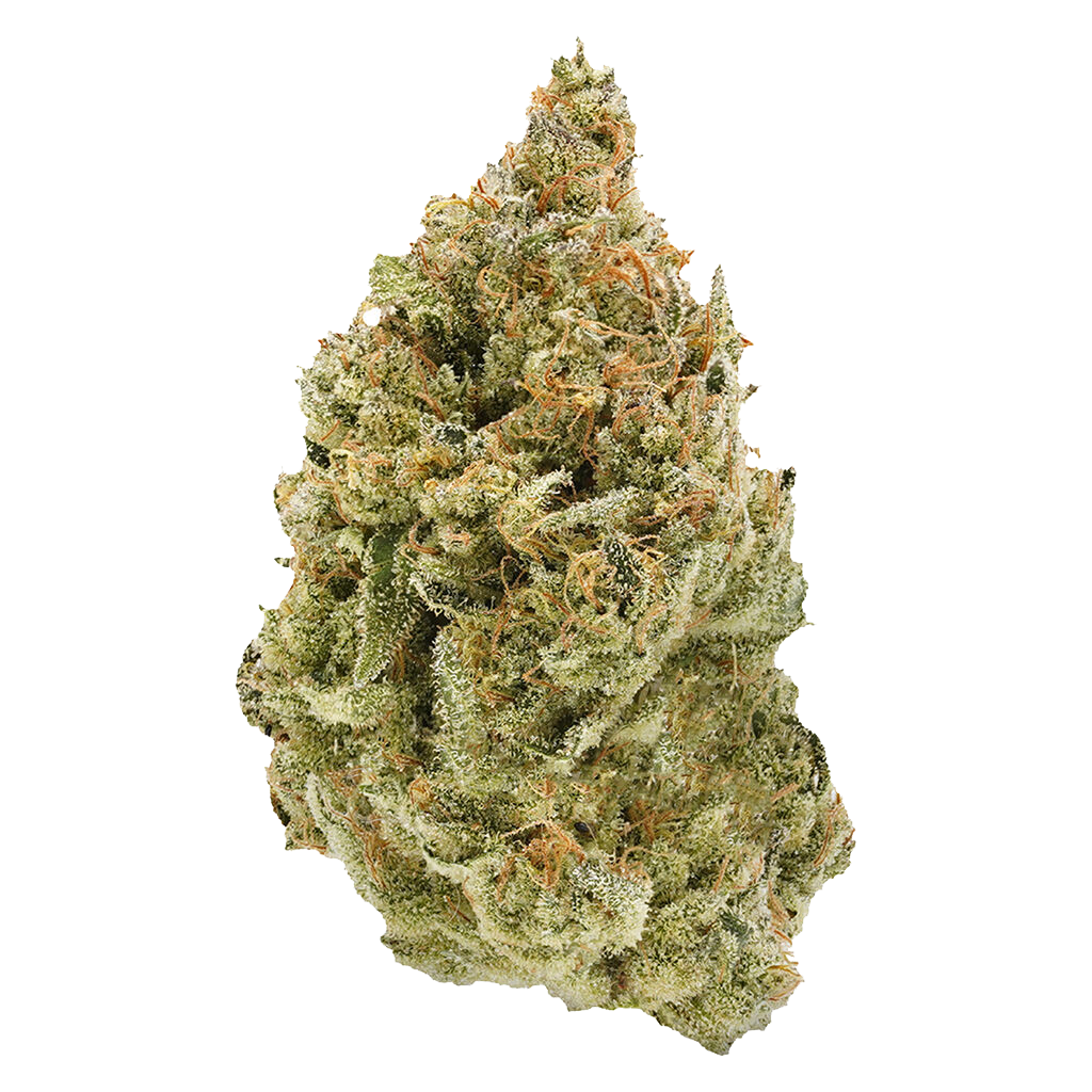 BC Organic Fruit Loopz 2
