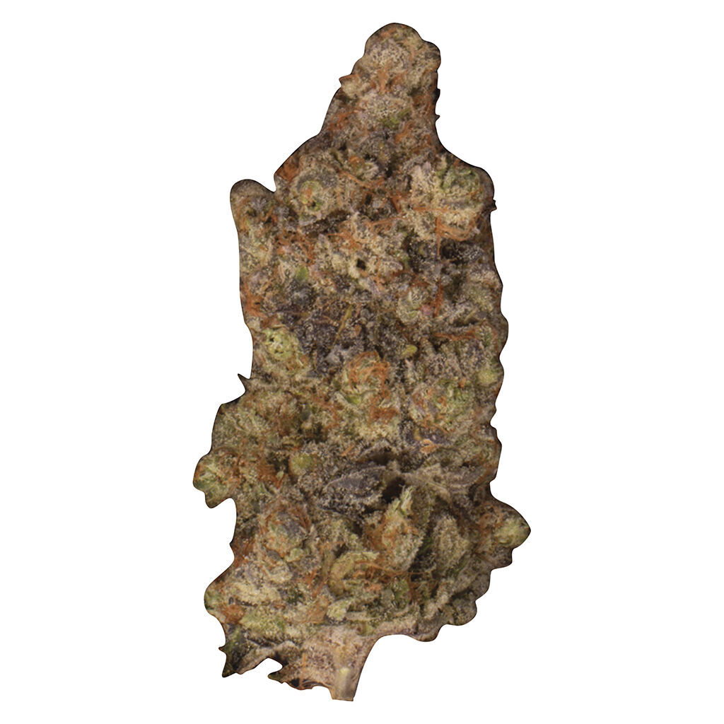 Zooted 2