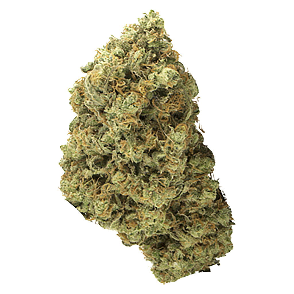 BC Organic Tangerine Sunrise