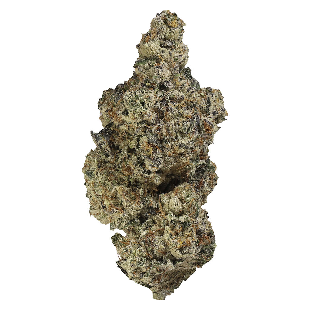 Bandwagon Indica