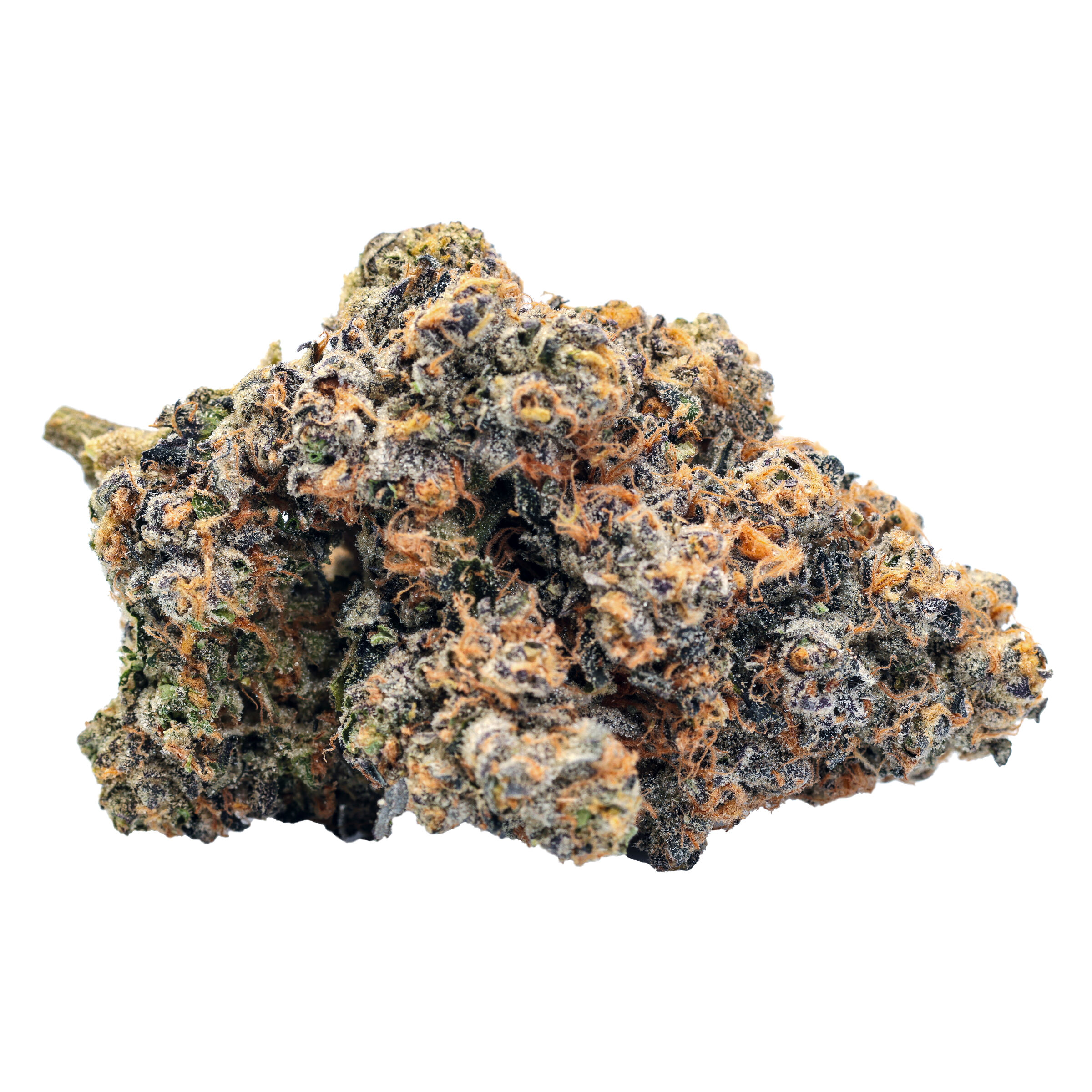 Cookies Gelato YaHemi