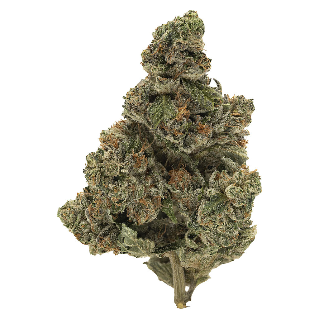 BC Organic Kraken