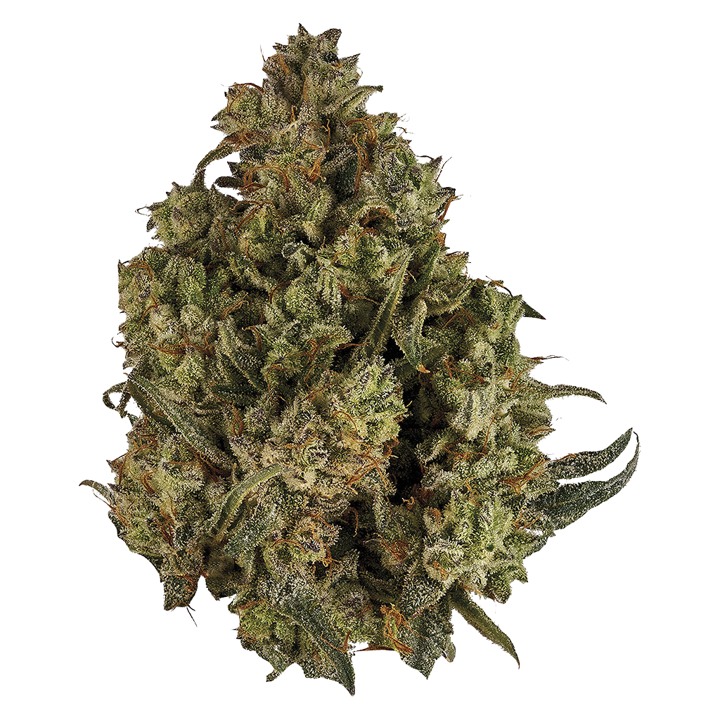 CBD Runtz
