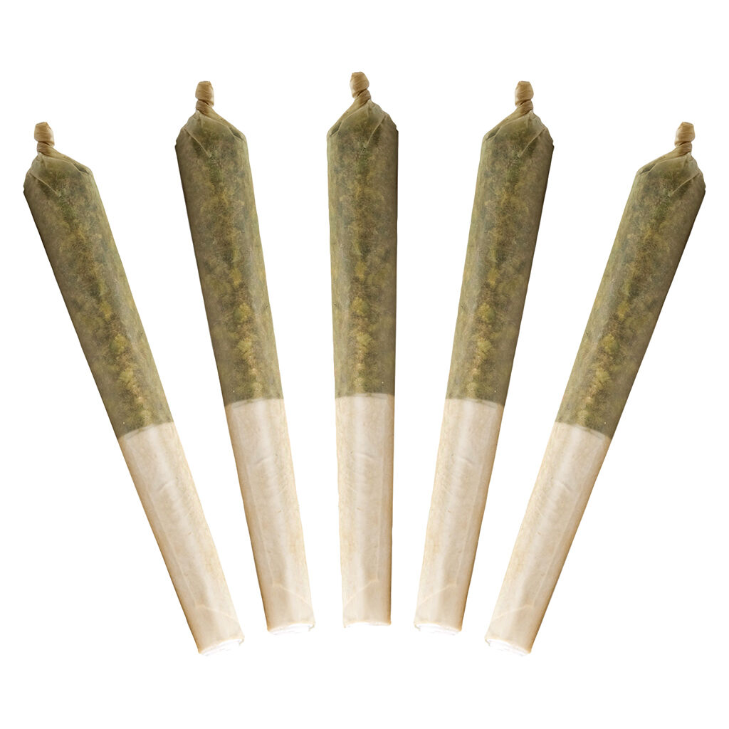 Lil Buddy Sativa Pre-Rolls